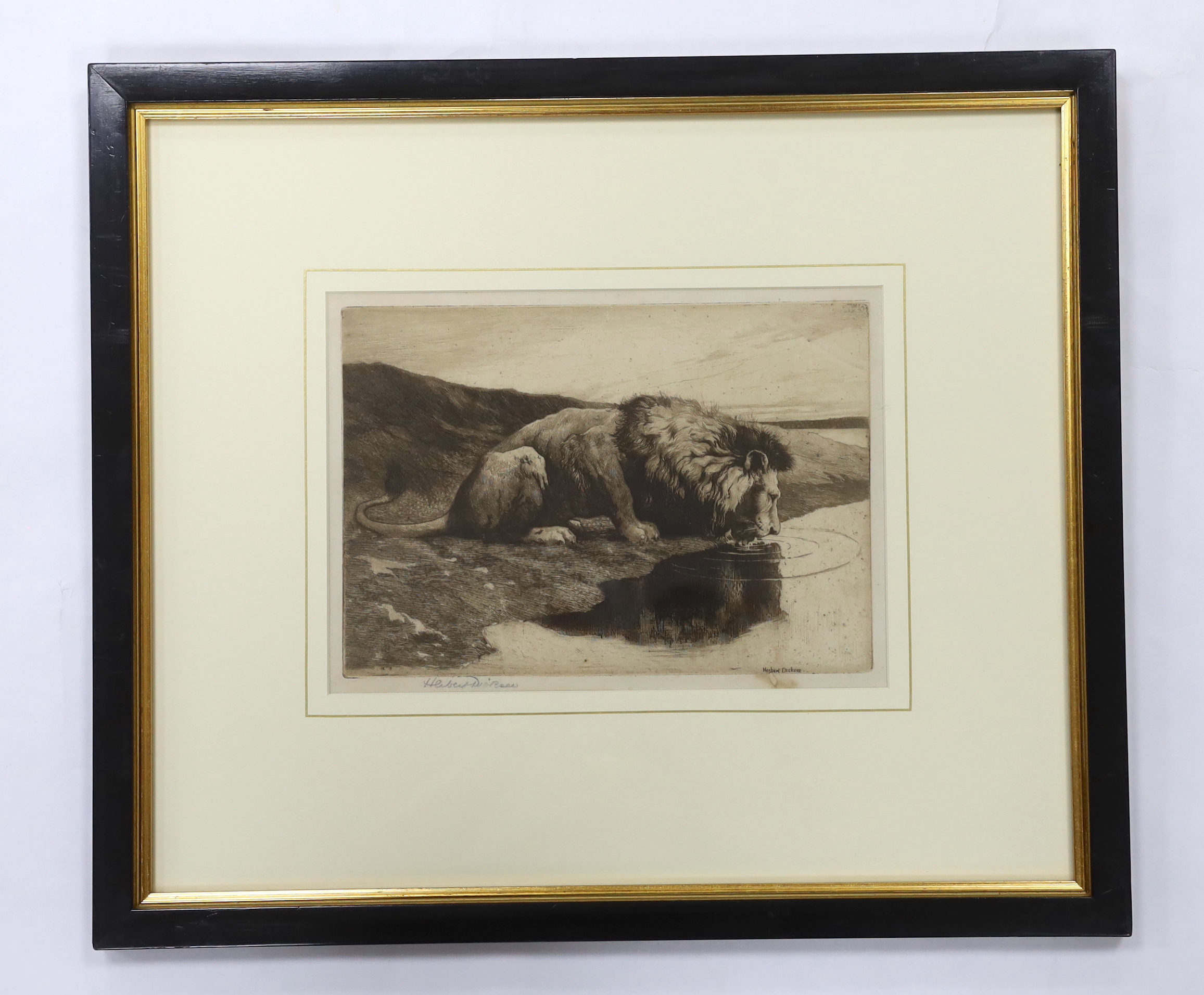 Herbert Dicksee (1862-1942), etching, Lion Drinking, signed in pencil, publ. 1890, 19 x 26cm